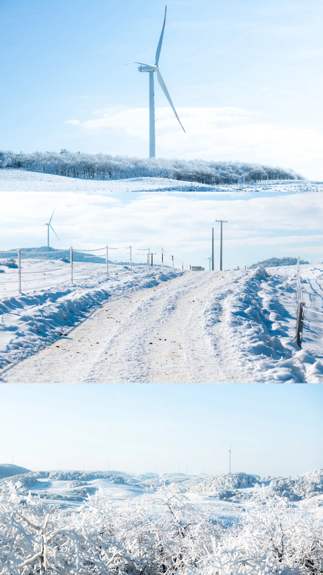 超出片！毕节冬日限定美景进入最佳观赏期