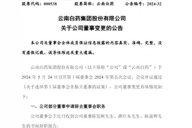云南白药人事变动背后：新董事长已到任，今年计划不“炒股”图片