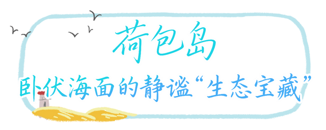 整村搬迁！珠海这里大变化！