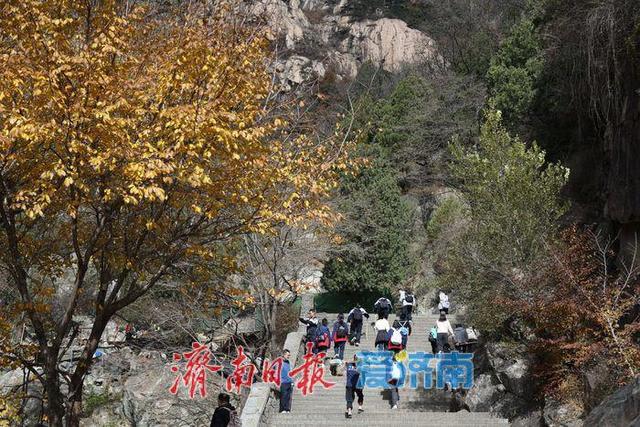 山河为证，团结筑梦！临夏武隆青少年赴泰山研学促交流