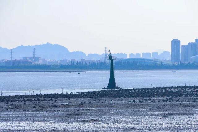 赶海、寻趣！来丰泽打卡这一抹海天蓝！
