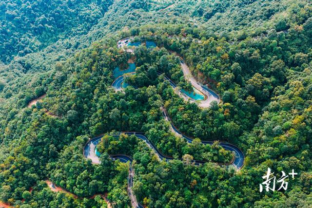 一条公路串联惠州两名山，激发城乡融合新动能｜寻迹218最美公路