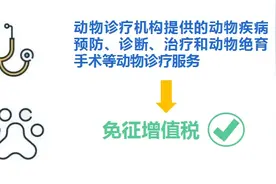宠物医疗服务税收知多少图片