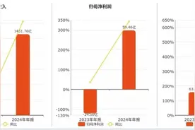 赛力斯年报营收1451.76亿创新高，净利润59.46亿元图片