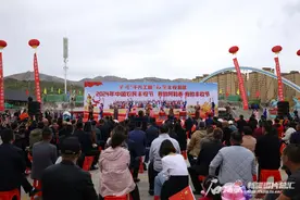 今年的农民丰收节 阿勒泰这样过图片