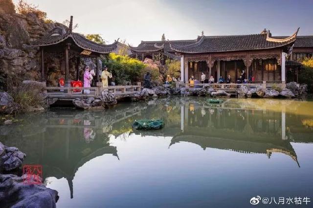 这个元旦假期，把时光“浪费”在秦淮最美的园子里~