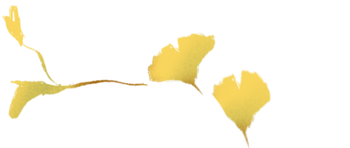 最美观赏季来了！看Ta们怎么玩→