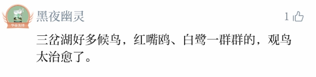 这一刻，“幸福感”真的溢出屏幕了！快来看看这份公园城市打卡“民间指南”