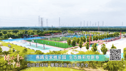绿水青山的中国丨“鸟中大熊猫”现身江苏