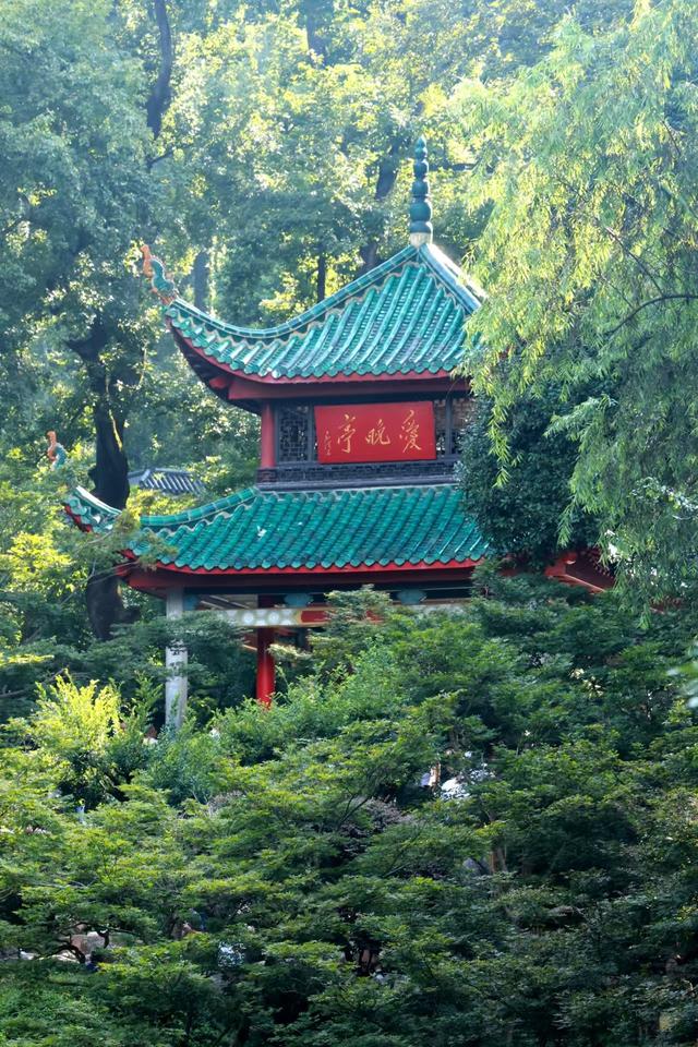 晚潮｜看万山红遍