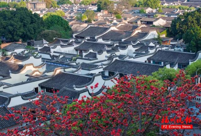 刚刚公布！福州首批平价酒店名单！