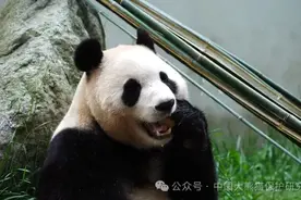官宣：6月12日“接福”图片