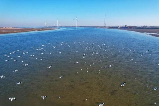 冬天，遇见不一样的潍坊！