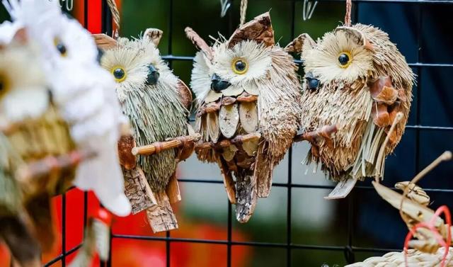 这么近，那么美，周末到河北2025河北文旅京津宣传推广周 | 张家口文旅走进月坛公园