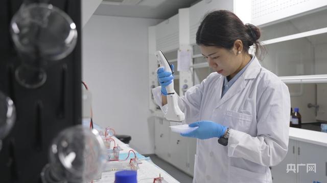 【牢记嘱托·看见美好中国】培育良种“中国芯” 端牢中国饭碗