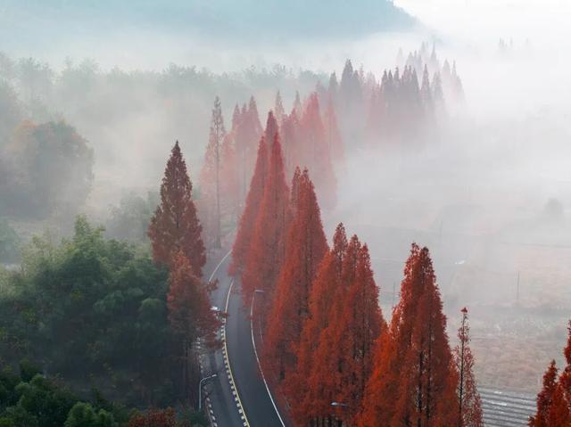 “反季节浪漫”！永康冬季限定版“城市漫游地图”上线