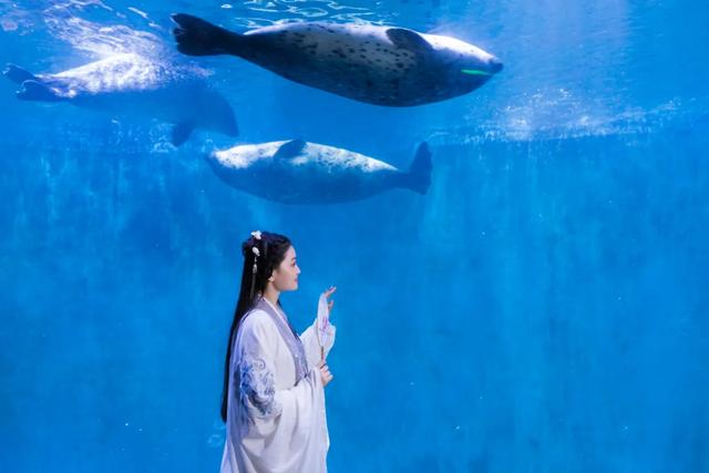 一张门票一日游，打包青岛冬日海底+海上精华的路线攻略来啦