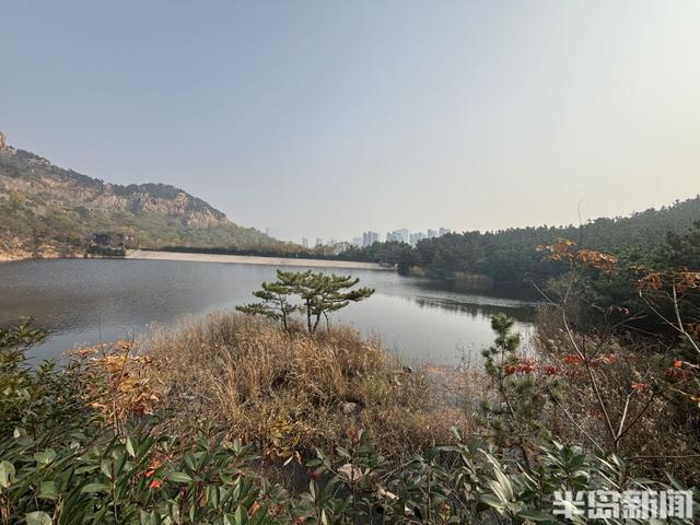 浮山南麓，藏着青岛最美冬日