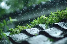 变天了，今夜明晨，上海青浦崇明局地或有雨夹雪图片