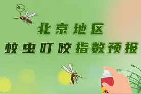 7月8日北京地区平均蚊虫叮咬指数为四级图片