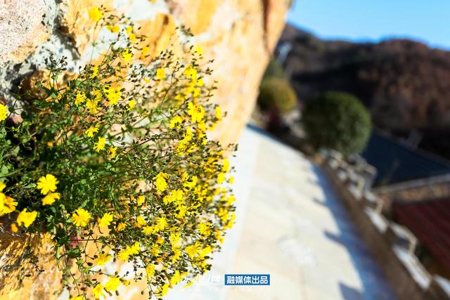 节气里的大美烟台｜立冬篇