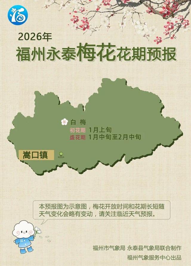 2026永泰梅花花期大揭秘！赏花秘籍速来get√