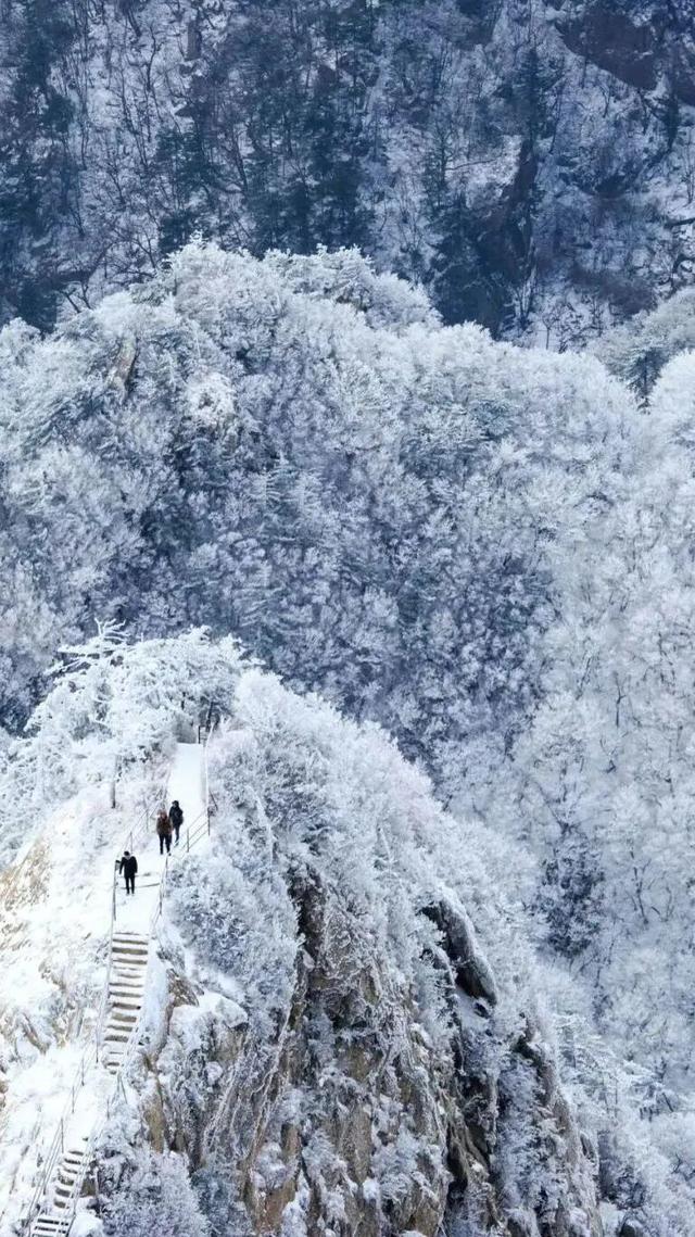 绝绝子！除了绝绝子，我还能怎么夸洛阳
