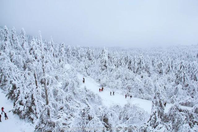 银色世界，雪中禅意：峨眉山的冬天美成了佛国仙境