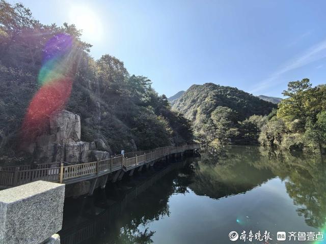 杠赛来！泰安玉泉寺初秋渐入佳境，古寺、银杏、热茶，慢享初秋时光