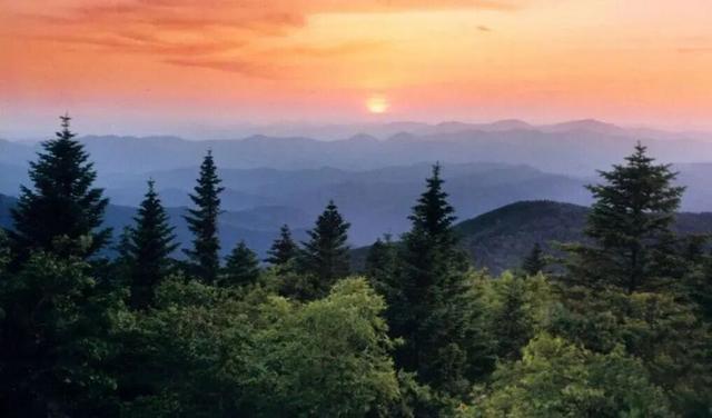 不来珲春，怎知秋色如许？（惊艳美图来袭）