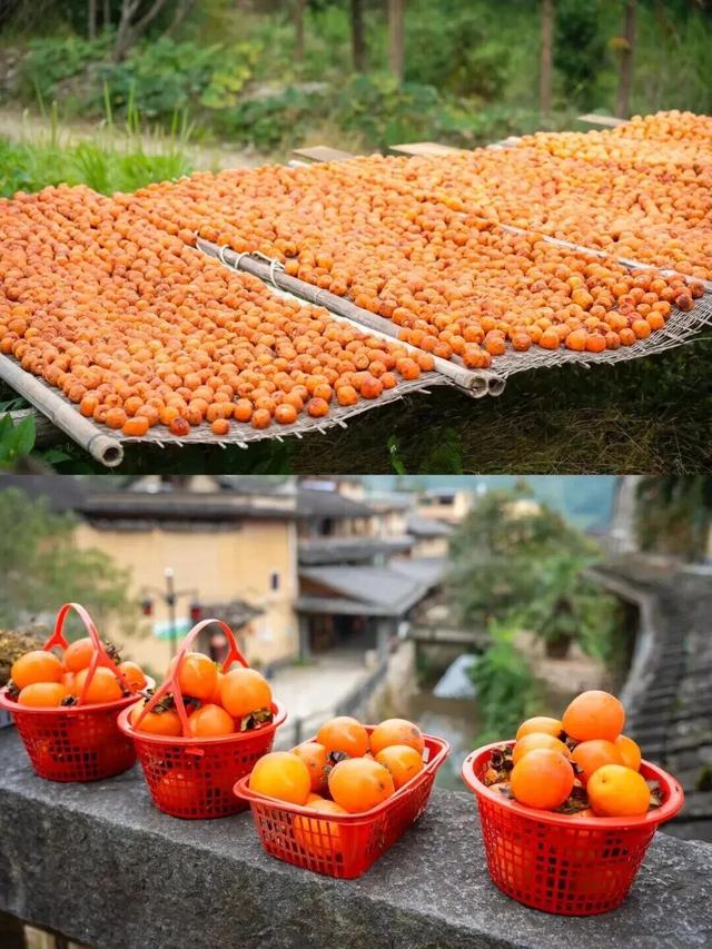 追柿归来！屏南3个古村落亲测好拍好玩好美！建议两天一夜游