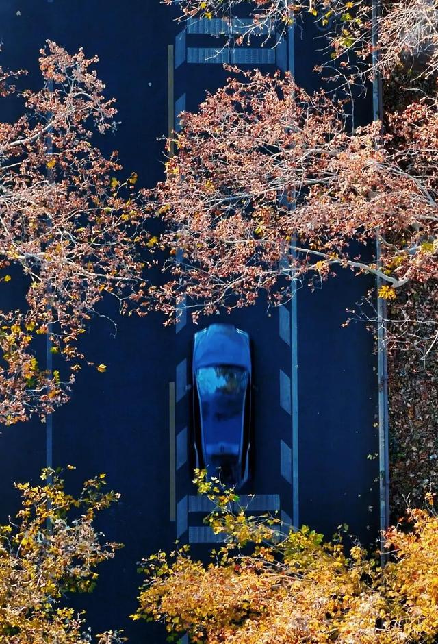 冬日到泰安文化路来一场Citywalk，只走一趟就沦陷