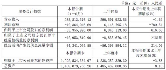 深天马、维信诺、创维数字、汇顶科技、全志科技等19家面板与显示芯片企业2025上半年财报一览