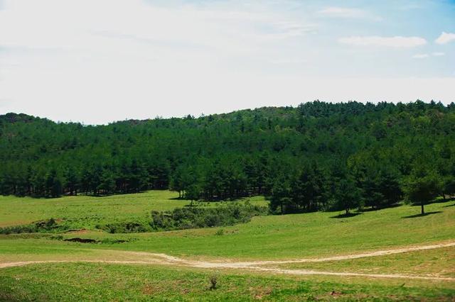 来盘龙大哨森林，我“氧”你啊！