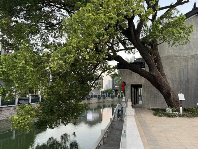 千年忠义街焕新归来，今日盛大开街！