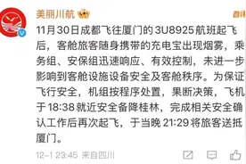 充电宝冒烟致航班备降，  为何充电宝能“上飞机”却不能使用？图片