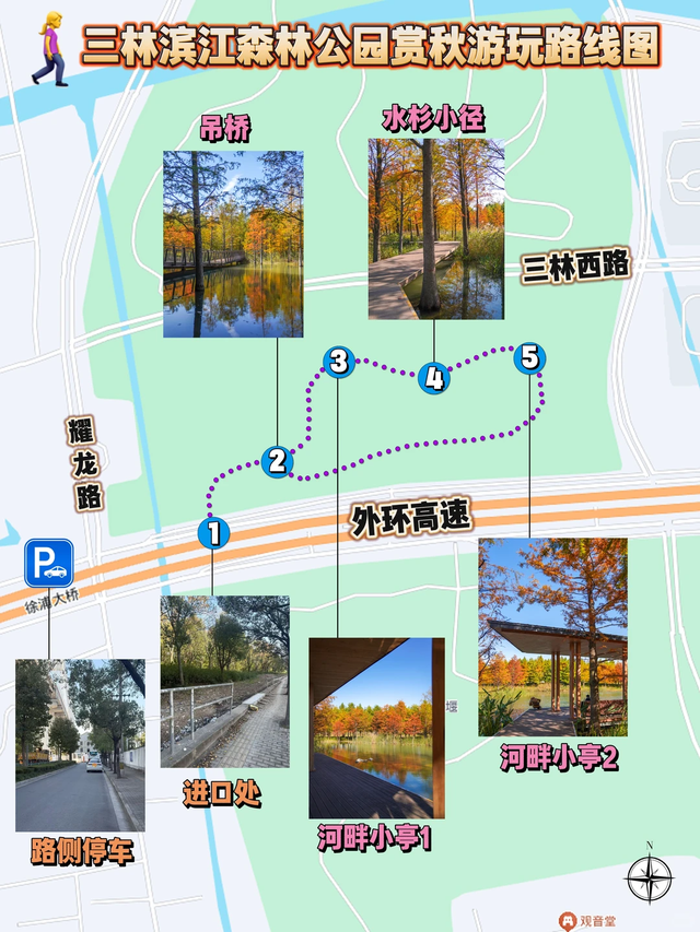 落羽杉红了！在上海发现了免费的阿勒泰同款梦幻秋景→