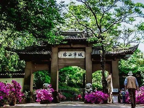 第三波福利！“阿镇” 爱意持续加载