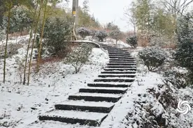 南方低温蓝色预警，多地紧急停课、景区关闭图片