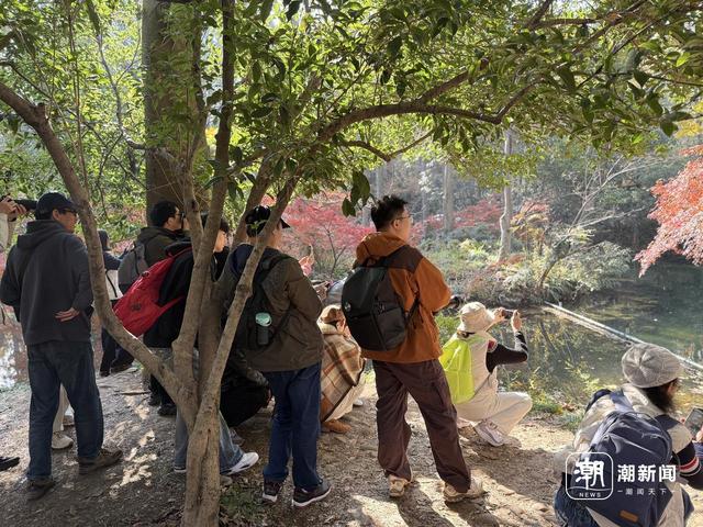 枫景这边正好，西湖的浪漫刷屏了