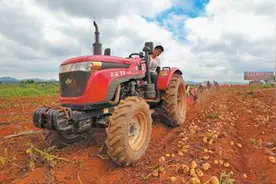 “望天田”这样成为“高产田”图片