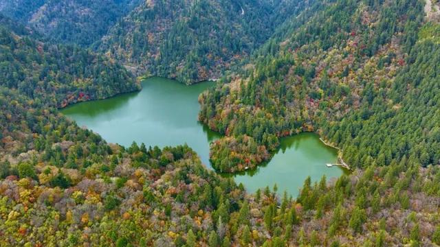 快上车！深秋限定九寨沟彩林与雪花同框