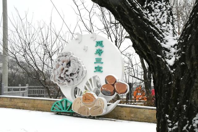 雪景美图来了！京郊赏雪宝藏线路，解锁冬日限时浪漫