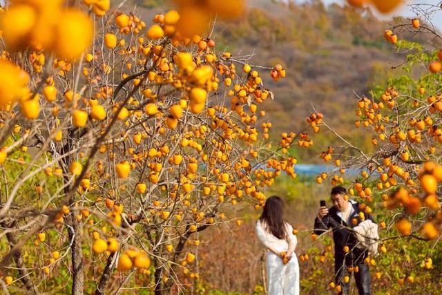 又好吃又好看！日照这里，火成新晋顶流！