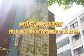 千人武术展雄姿！佛山武术进校园活动走进鸿业小学图片