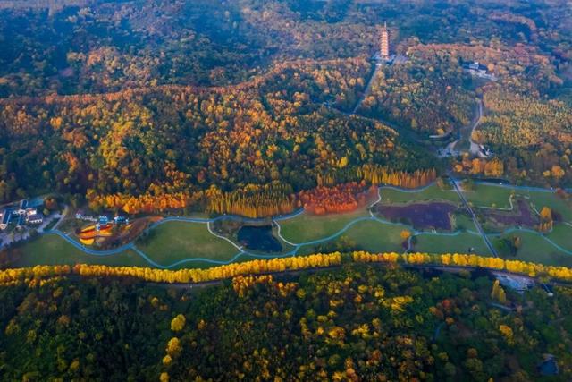 现在的宜兴，已经美成这样了……