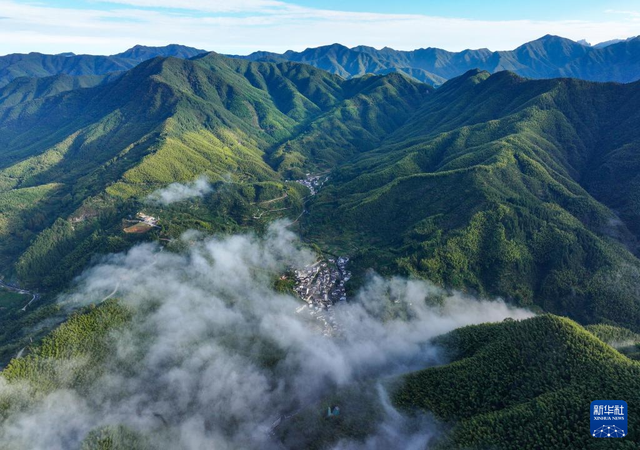 安徽黟县：山村竹海 宛若仙境