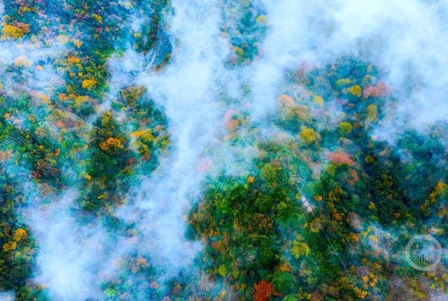 冬染金佛山 彩林美如画