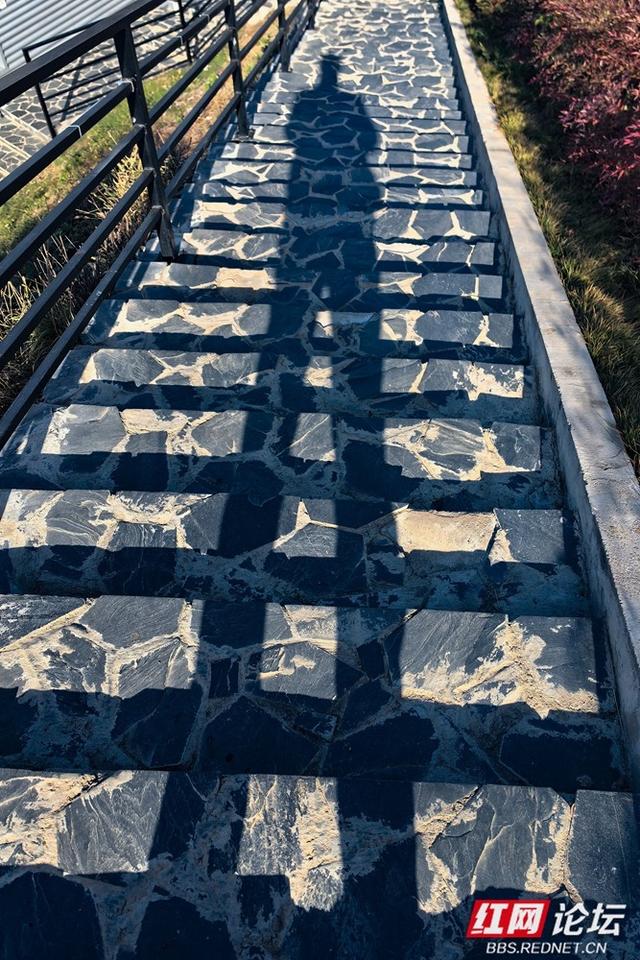 百米江滩何以聚人气？探秘株洲网红地标“大石围”