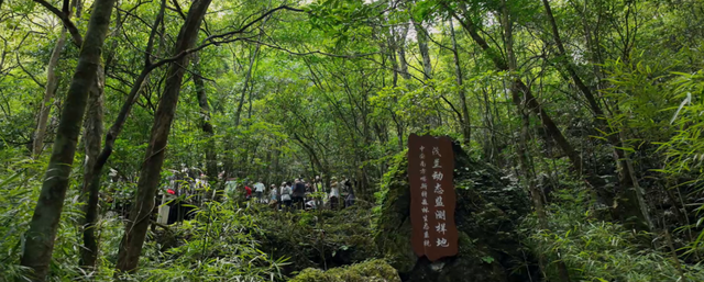 中国森林生物多样性监测网络（CForBio）专家组考察贵州大样地